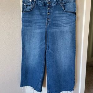 Time and Tru High Rise Wide Leg Crop jeans - Size 20